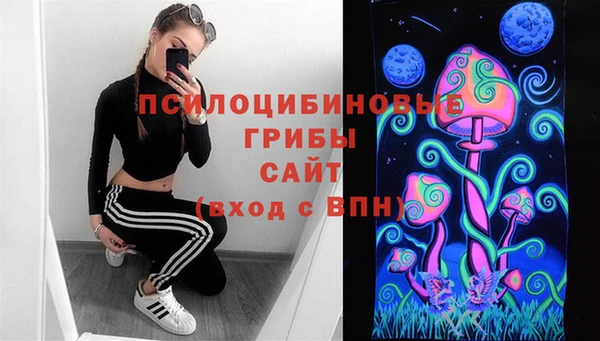 амф Кукмор