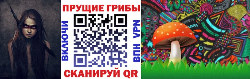 Купить закладки  Кировск  Псилоцибиновые грибы мицелий 